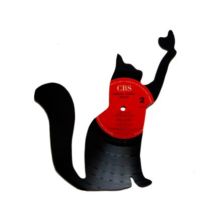 Gato 5