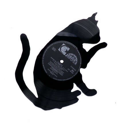 Gato 11