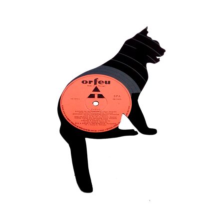 Gato 8