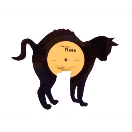 Gato 14