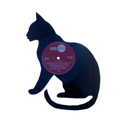 Gato 13