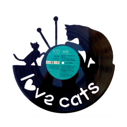 Gato 24