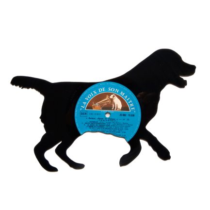 Cão Golden Retriever 2